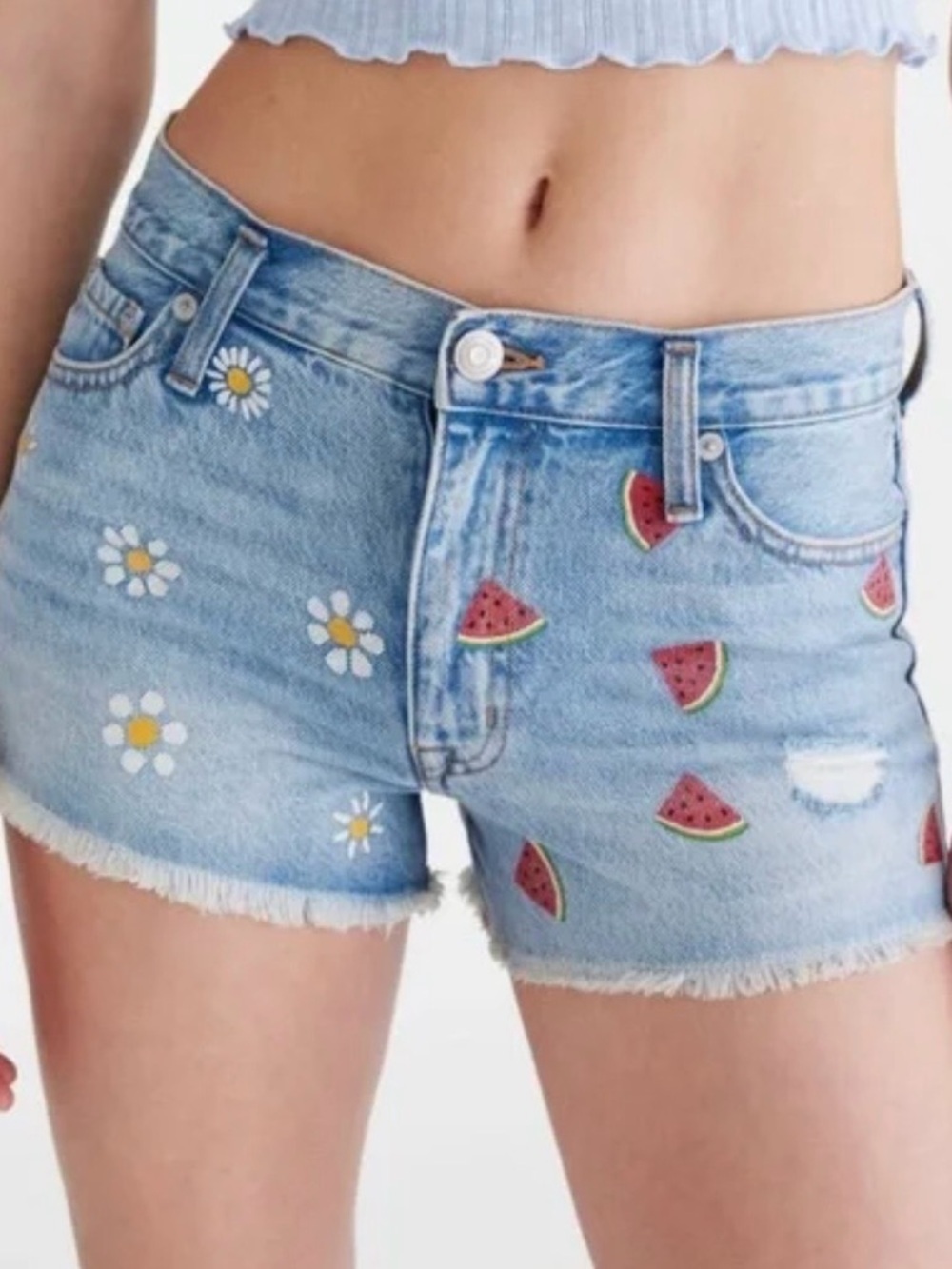 AERO Vintage High-Rise Shorty Daisy & Watermelon Embroidered Shorts size 00